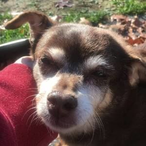 Meet your Posher, Robin